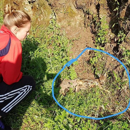 La Casa Nel Chianti Lägenhet Greve in Chianti Exteriör bild