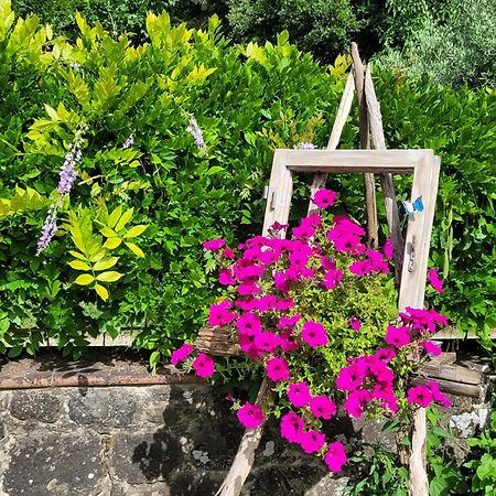 La Casa Nel Chianti Lägenhet Greve in Chianti Exteriör bild