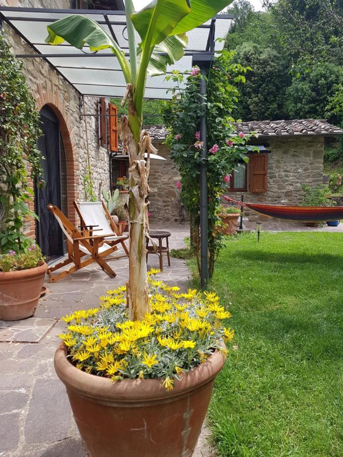 La Casa Nel Chianti Lägenhet Greve in Chianti Exteriör bild