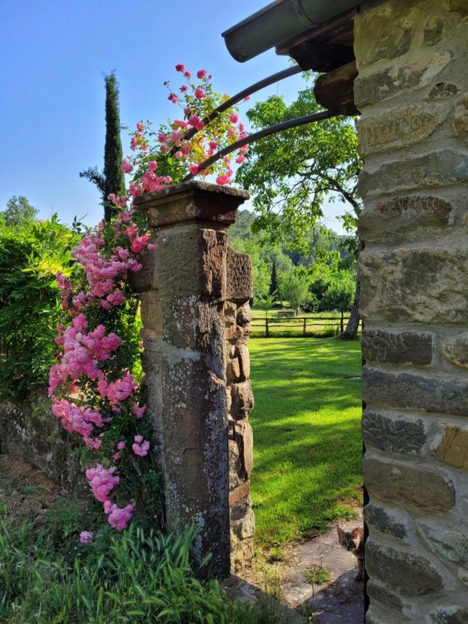 La Casa Nel Chianti Lägenhet Greve in Chianti Exteriör bild