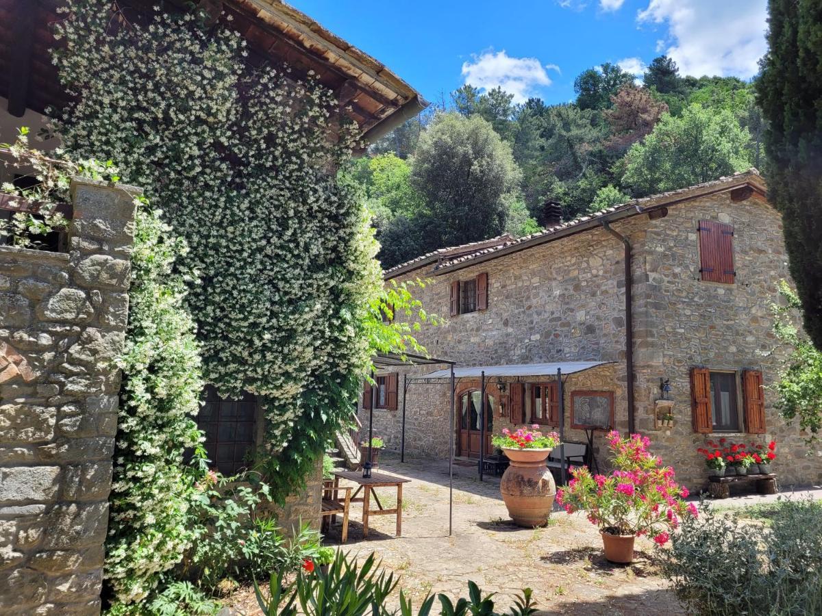 La Casa Nel Chianti Lägenhet Greve in Chianti Exteriör bild
