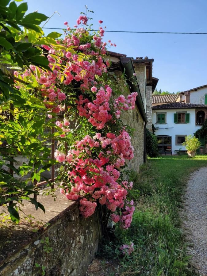 La Casa Nel Chianti Lägenhet Greve in Chianti Exteriör bild