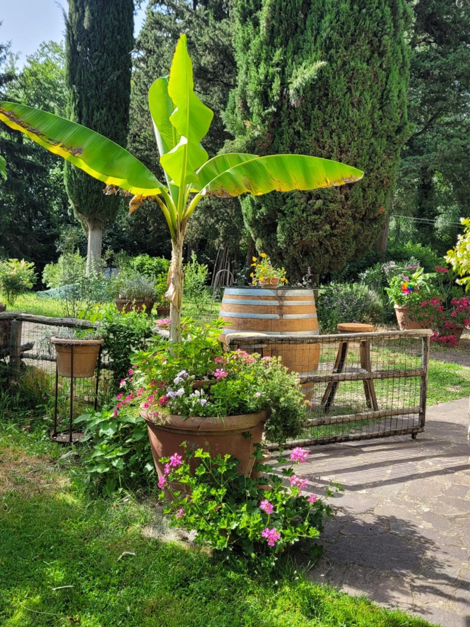 La Casa Nel Chianti Lägenhet Greve in Chianti Exteriör bild