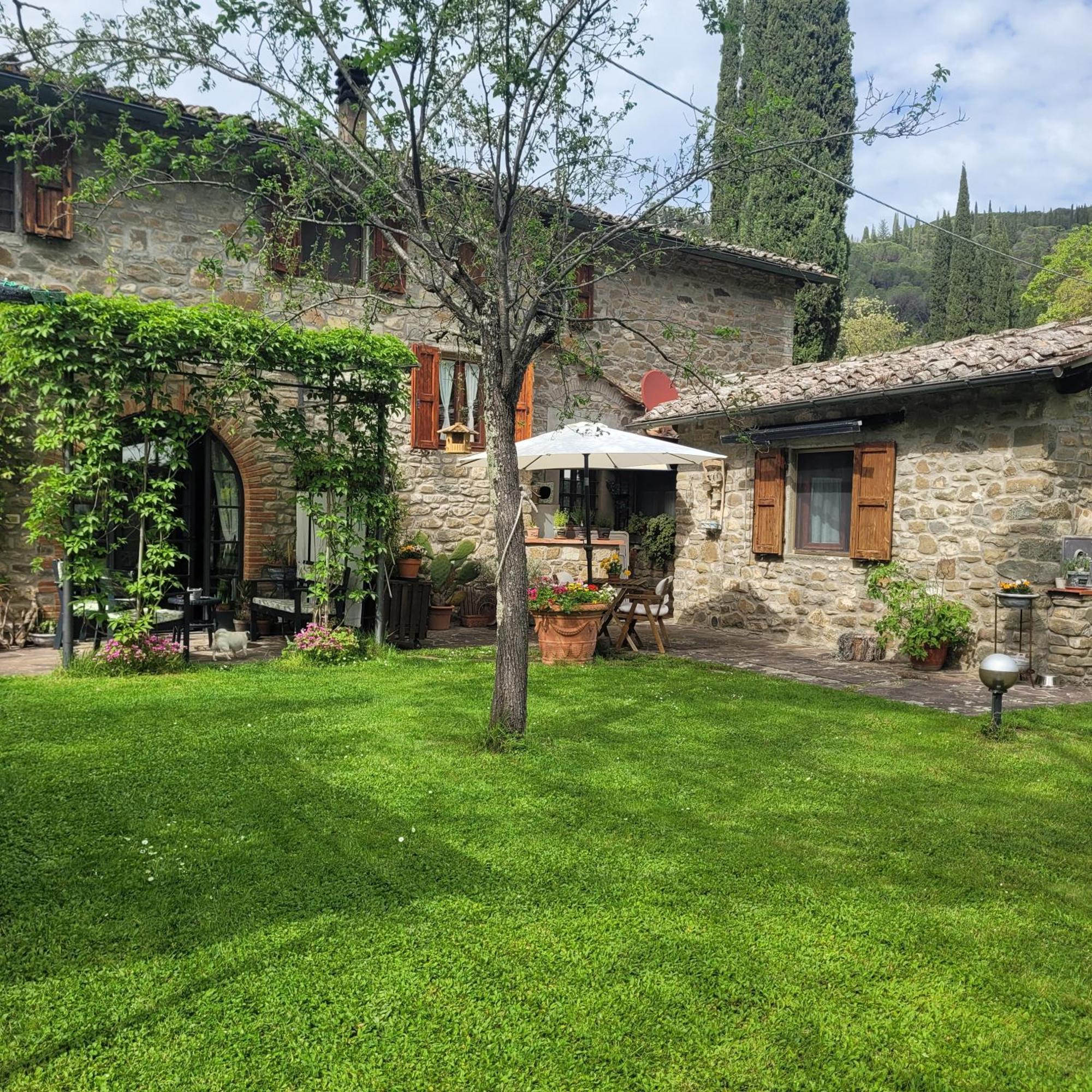 La Casa Nel Chianti Lägenhet Greve in Chianti Exteriör bild