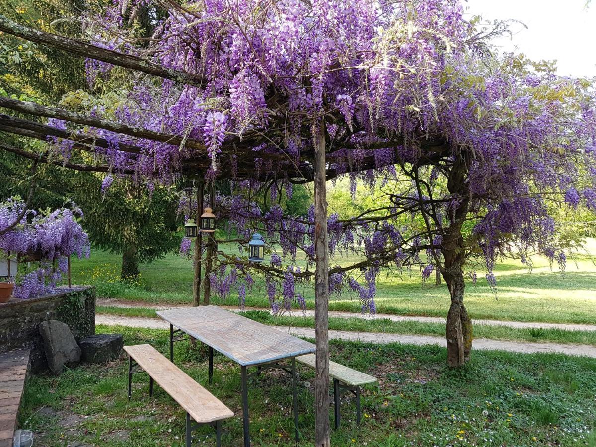 La Casa Nel Chianti Lägenhet Greve in Chianti Exteriör bild